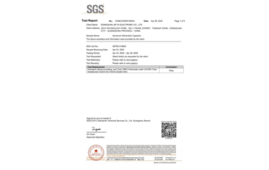 環(huán)保測(cè)試報(bào)告 TSCA CANEC25009106003